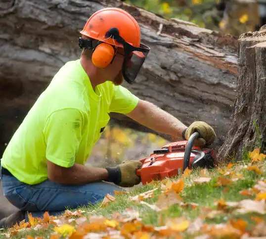 tree services Braintree